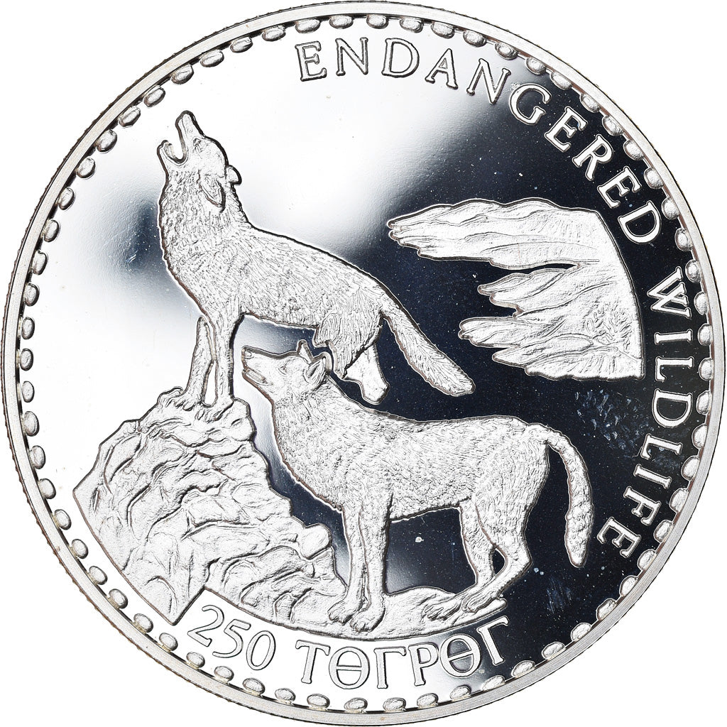 Monnaie, Mongolie, Loup mongol, 250 Tugrik, 1993, FDC, Argent, KM:80