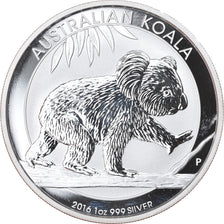Coin, Australia, Australian Koala, 1 Dollar, 2016, 1 Oz, MS(65-70), Silver