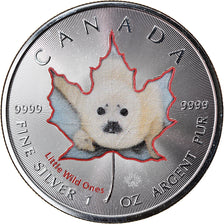 Coin, Canada, Maple Leaf, 5 Dollars, 2016, Little Wild Ones, Harp Seal