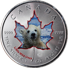Coin, Canada, Maple Leaf, 5 Dollars, 2016, Little Wild Ones, Polar Bear