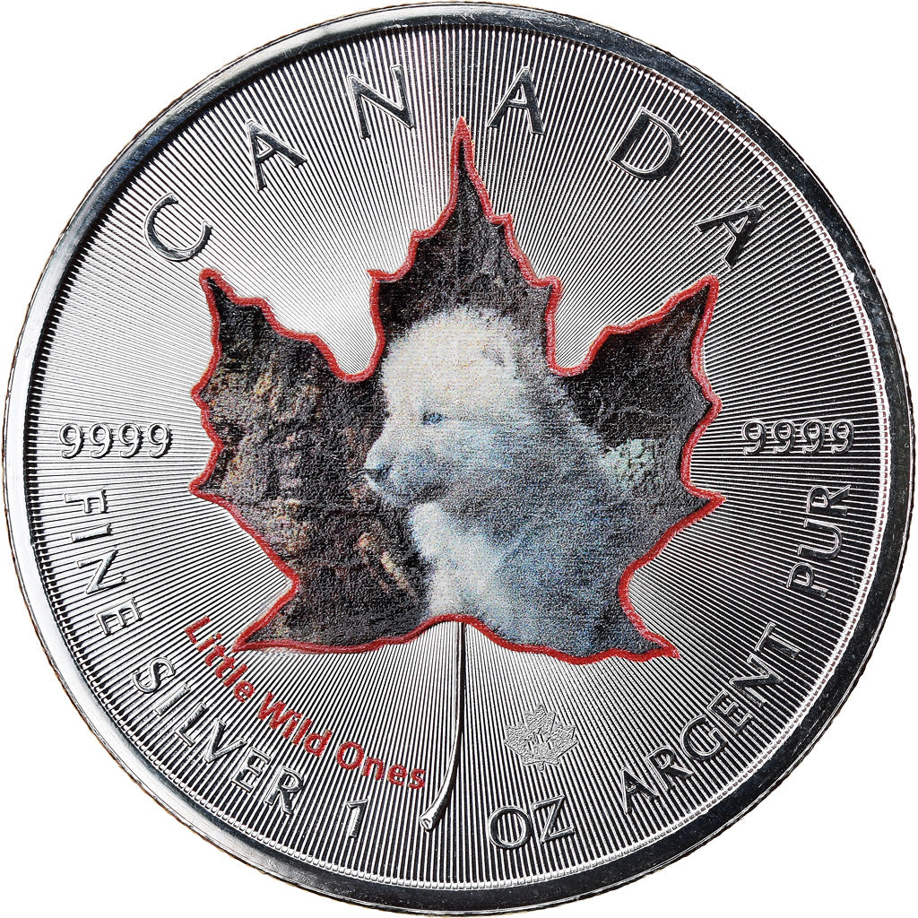 Coin, Canada, Maple Leaf, 5 Dollars, 2016, Little Wild Ones, Arctic wolf cub