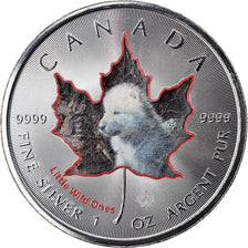 Coin, Canada, Maple Leaf, 5 Dollars, 2016, Little Wild Ones, Arctic wolf cub