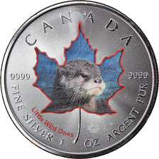 Coin, Canada, Maple Leaf, 5 Dollars, 2016, Little Wild Ones, Otter, MS(65-70)