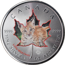 Coin, Canada, Maple Leaf, 5 Dollars, 2016, Little Wild Ones, Lynx, MS(65-70)