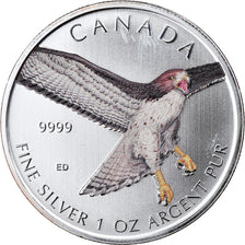 Moneda, Canadá, Red-tailed Hawk, 5 Dollars, 2015, 1 Oz, FDC, Plata