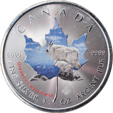 Moneda, Canadá, Maple Leaf, 5 Dollars, 2015, Oreamnos americanus, FDC, Plata