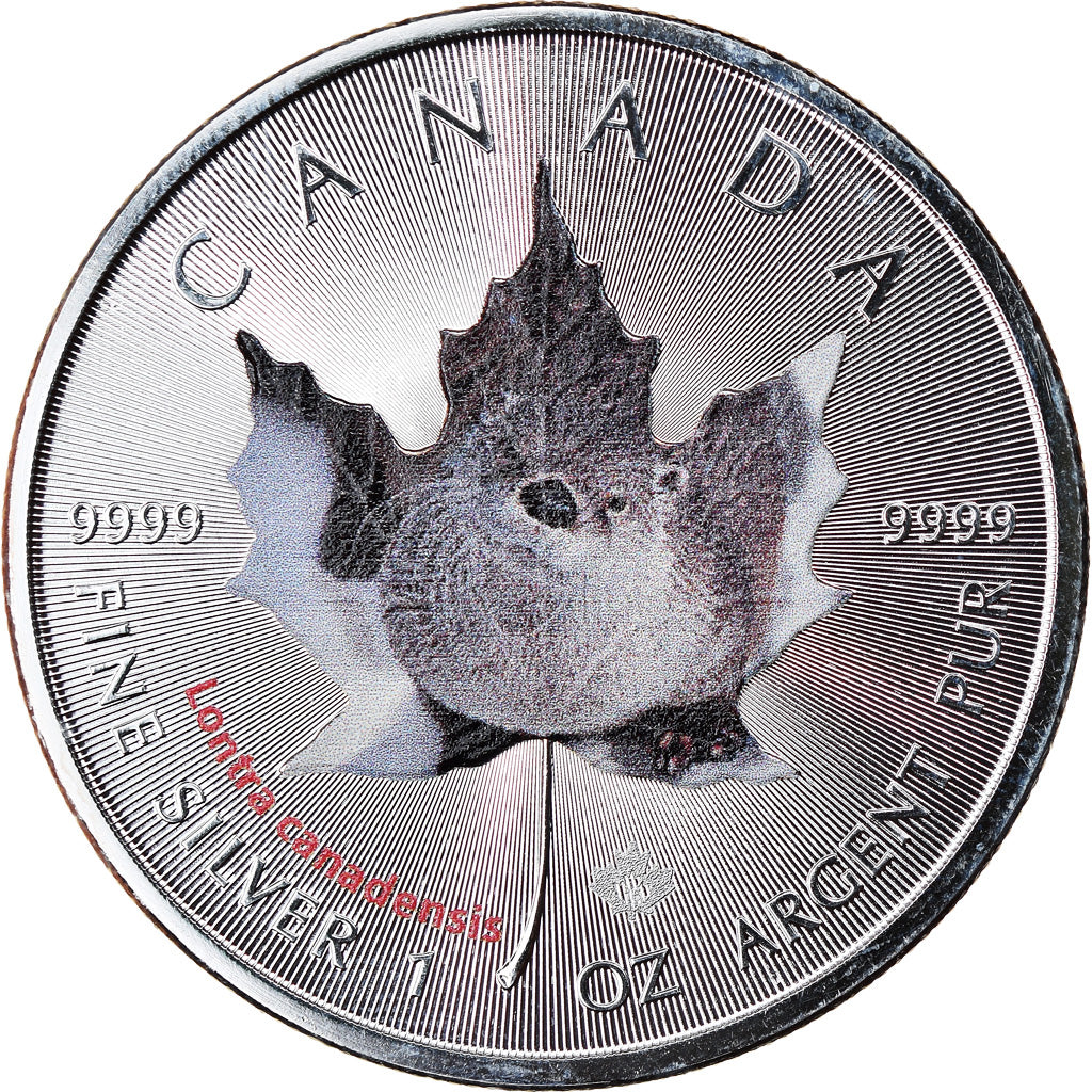 Coin, Canada, Maple Leaf, 5 Dollars, 2015, Lontra canadensis, MS(65-70), Silver