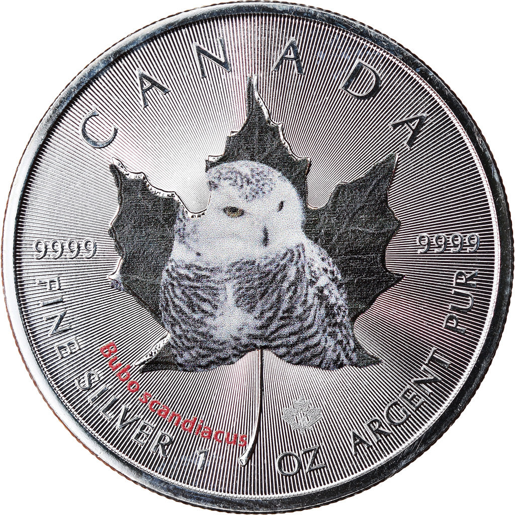 Moneda, Canadá, Maple Leaf, 5 Dollars, 2015, Bubo scandiacus, FDC, Plata