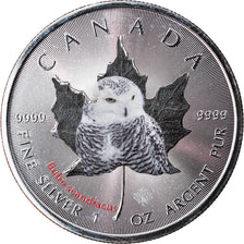 Moneda, Canadá, Maple Leaf, 5 Dollars, 2015, Bubo scandiacus, FDC, Plata