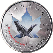 Munten, Canada, Maple Leaf, 5 Dollars, 2015, Megaptera novaeangliae, FDC, Zilver