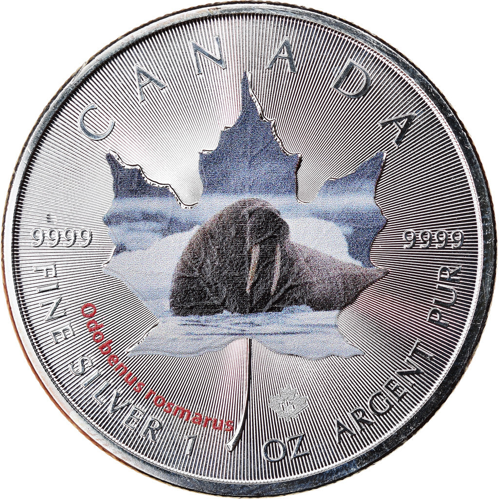 Munten, Canada, Maple Leaf, 5 Dollars, 2015, Odobenus rosmarus, FDC, Zilver