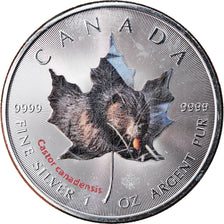 Coin, Canada, Maple Leaf, 5 Dollars, 2015, Castor canadensis, MS(65-70), Silver