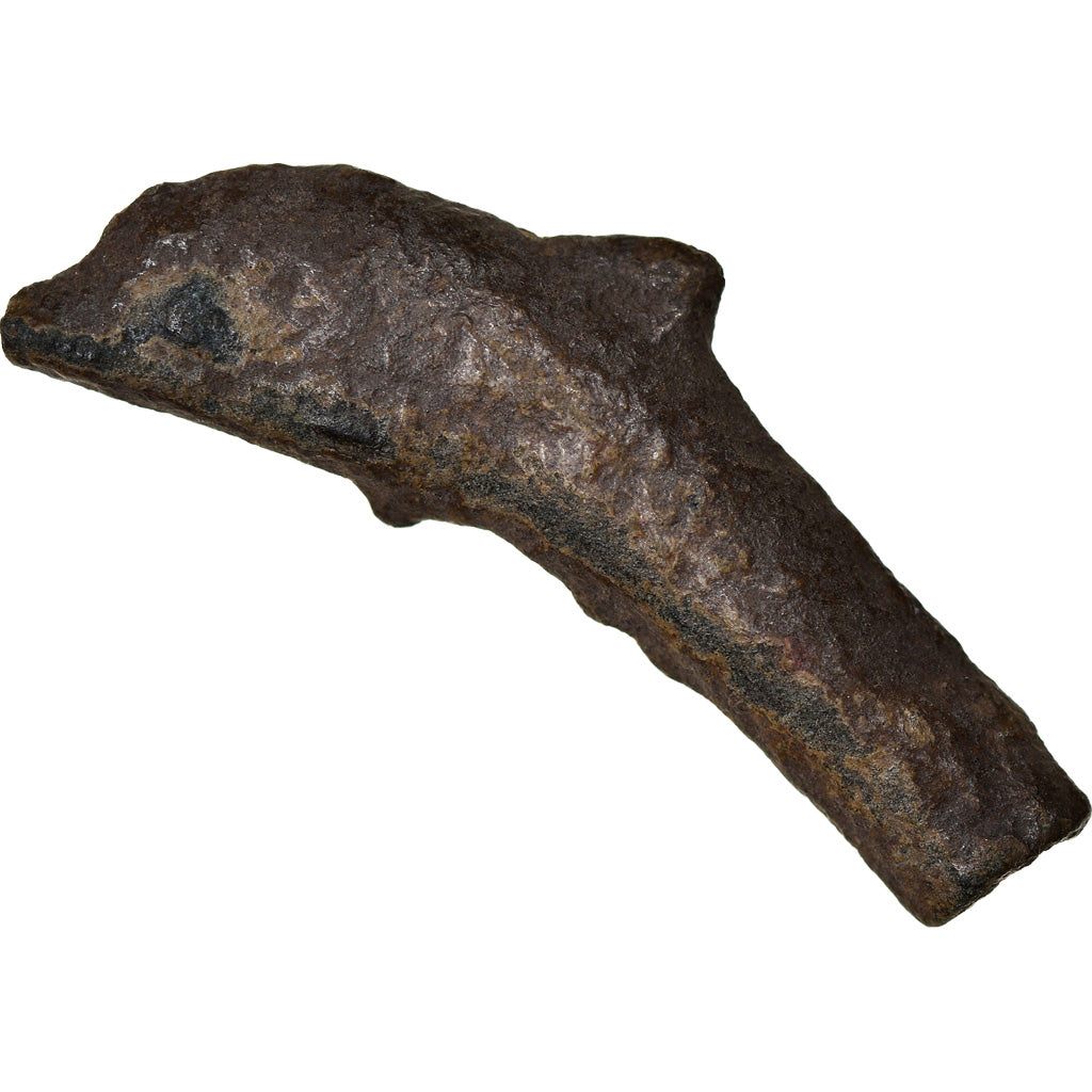 Münze, Sarmatia, Olbia, Dolphin, 437-410 BC, SS, Bronze
