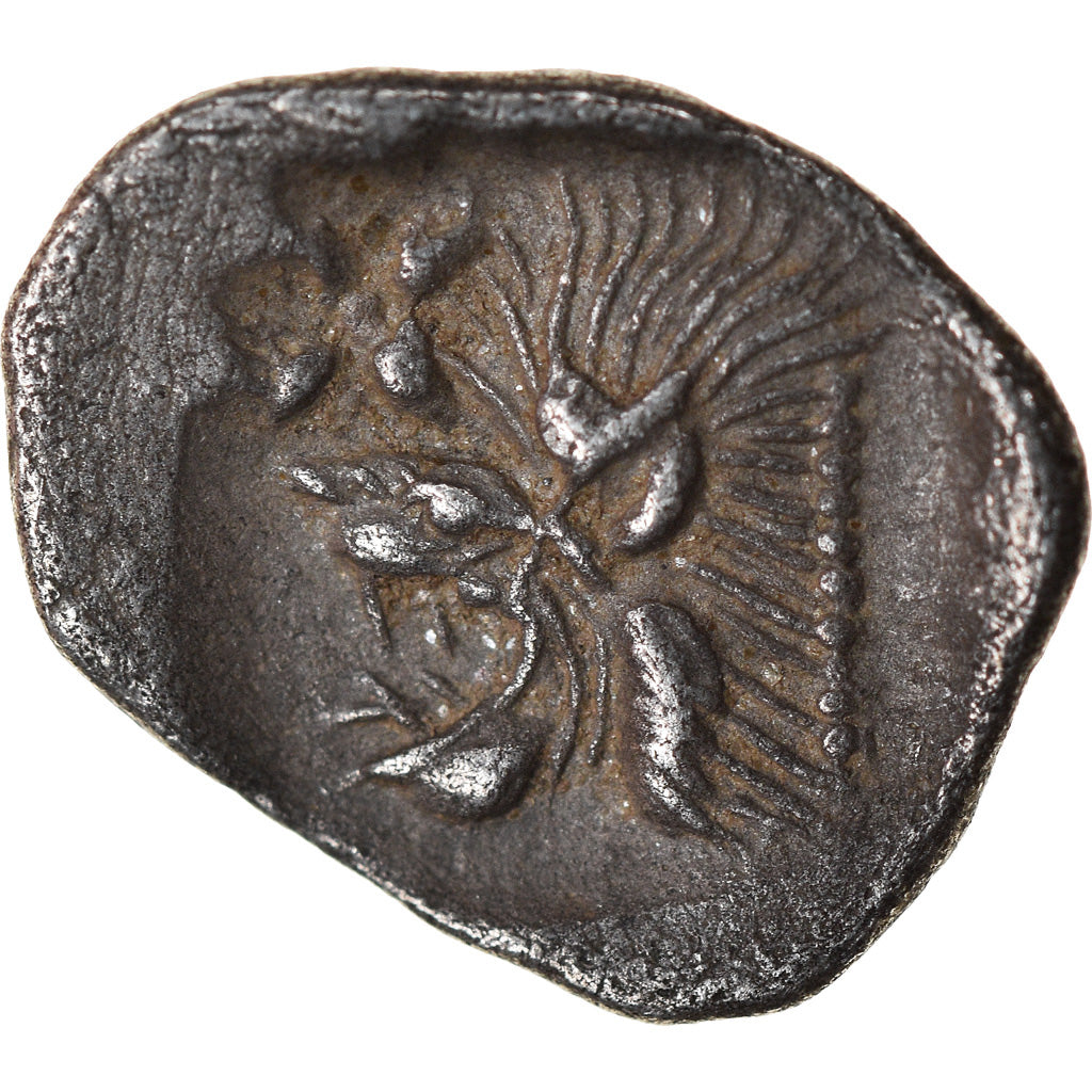 Münze, Mysia, Kyzikos, Hemiobol, 450-400 BC, SS, Silber, SNG-France:375