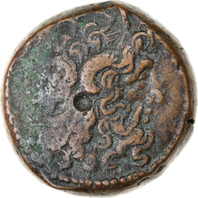Monnaie, Égypte, Ptolémée IX à Ptolémée XII, Bronze Æ, 116-51 BC