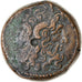 Monnaie, Égypte, Ptolémée IX à Ptolémée XII, Bronze Æ, 116-51 BC