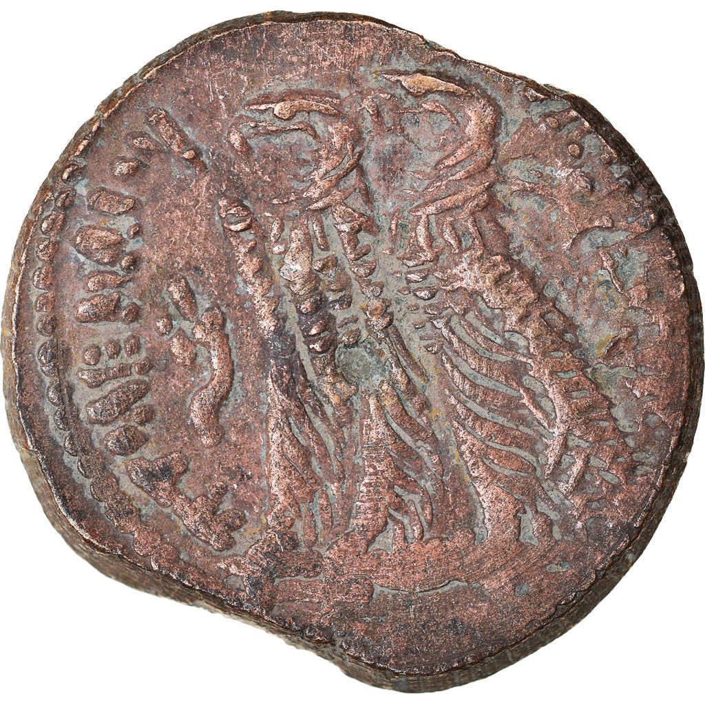 Monnaie, Égypte, Ptolémée IX à Ptolémée XII, Bronze Æ, 116-51 BC