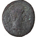 Coin, Asia Minor, Augustus, As, 25 BC, Uncertain Mint, VF(20-25), Bronze