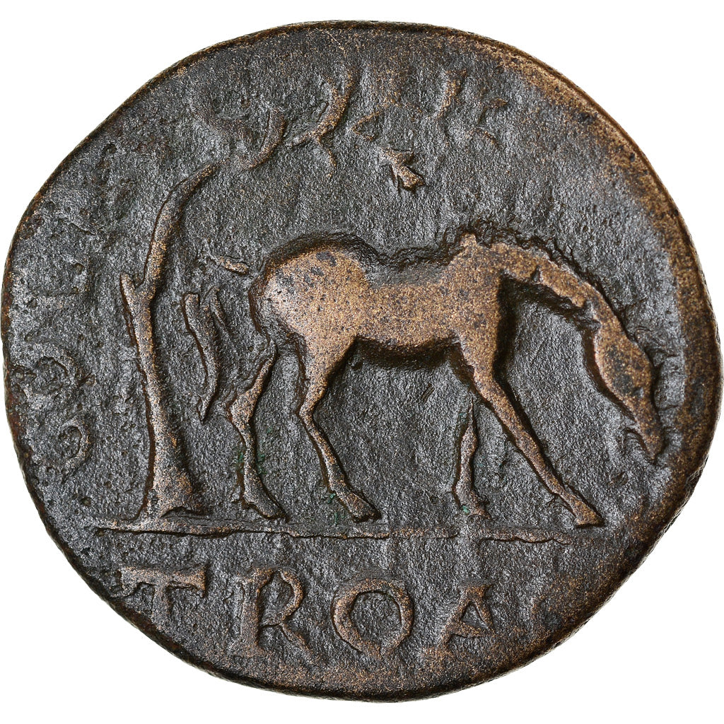 Coin, Troas, Alexandreia, Maximus, Bronze Æ, 236-238, VF(30-35), Bronze