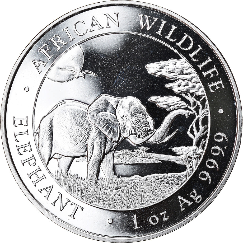 Coin, Somalia, Elephant, 100 Shillings, 2019, 1 Oz, MS(65-70), Silver