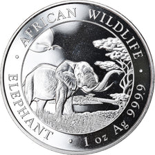 Coin, Somalia, Elephant, 100 Shillings, 2019, 1 Oz, MS(65-70), Silver