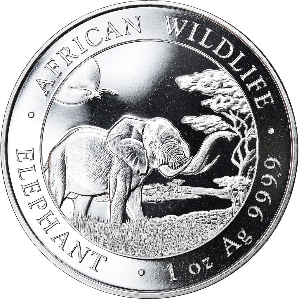 Coin, Somalia, Elephant, 100 Shillings, 2019, 1 Oz, MS(65-70), Silver