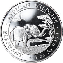 Coin, Somalia, Elephant, 100 Shillings, 2019, 1 Oz, MS(65-70), Silver
