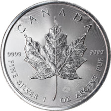 Moneda, Canadá, Maple Leaf, 5 Dollars, 2019, 1 Oz, FDC, Plata