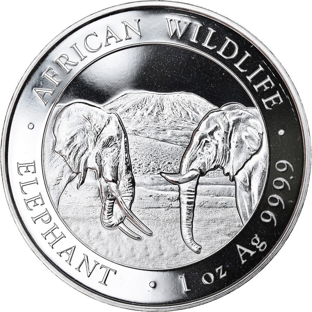 Coin, Somalia, Elephant, 100 Shillings, 2020, 1 Oz, MS(65-70), Silver