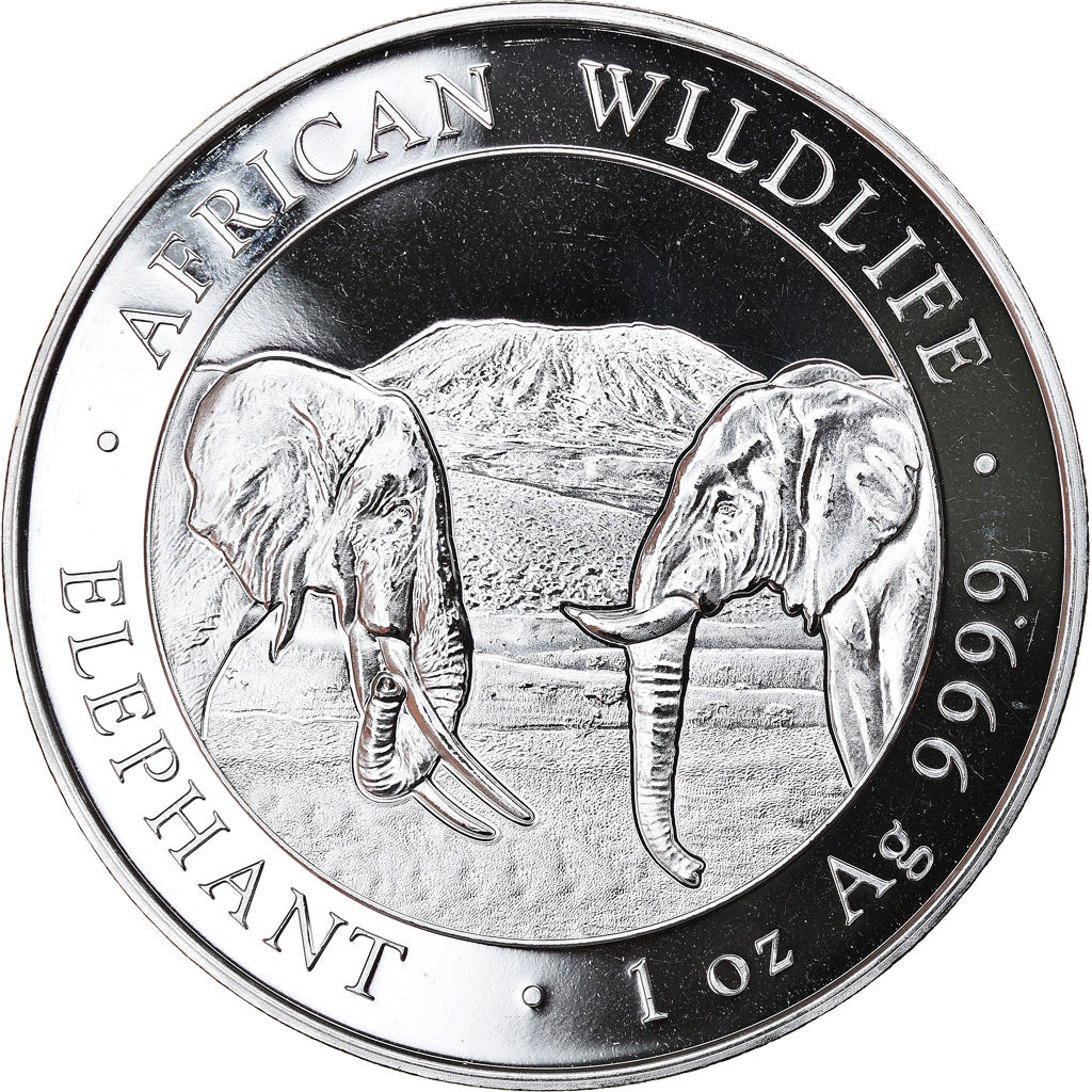 Coin, Somalia, Elephant, 100 Shillings, 2020, 1 Oz, MS(65-70), Silver