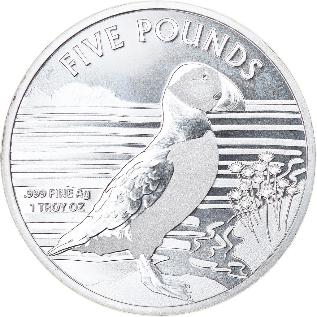 Coin, Alderney, Puffin, 5 Pounds, 2019, 1 Oz, MS(65-70), Silver
