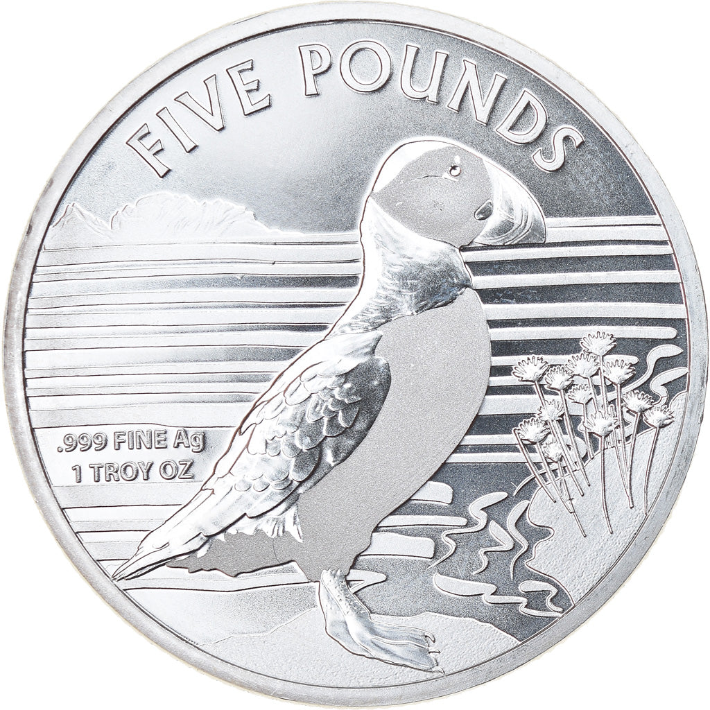 Coin, Alderney, Puffin, 5 Pounds, 2019, 1 Oz, MS(65-70), Silver