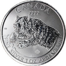 Moneta, Canada, Grizzly, 5 Dollars, 2019, 1 Oz, FDC, Argento
