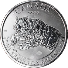 Coin, Canada, Grizzly, 5 Dollars, 2019, 1 Oz, MS(65-70), Silver