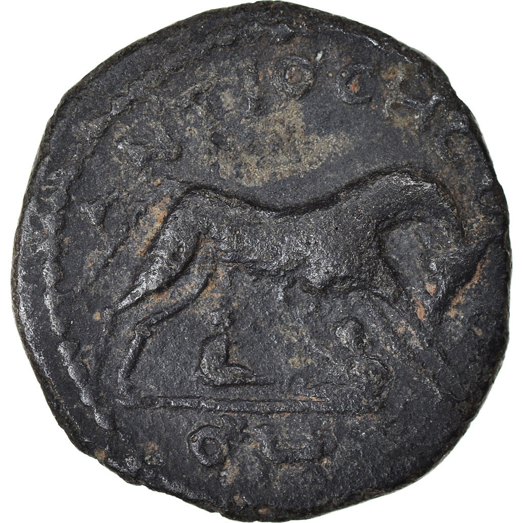 Moneta, Pisidia, Severus Alexander, Bronze Æ, 222-235, Antioch, EF(40-45)