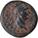 Monnaie, Séleucie et Piérie, Trajan, Bronze Æ, 98-99, Antioche, TTB, Bronze