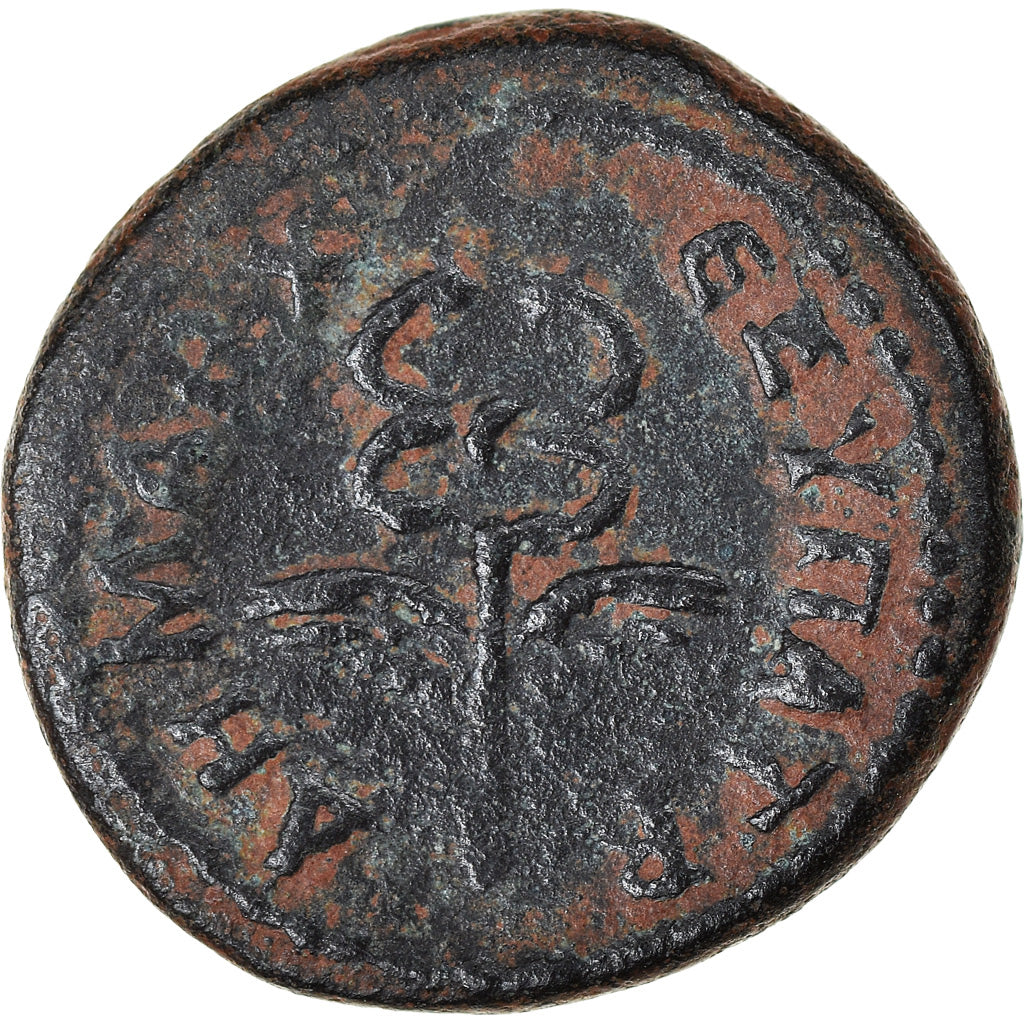 Monnaie, Séleucie et Piérie, Trajan, Bronze Æ, 98-99, Antioche, TTB, Bronze