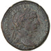 Monnaie, Séleucie et Piérie, Trajan, As, 116-117, Antioche, TTB, Bronze