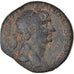 Monnaie, Séleucie et Piérie, Trajan, As, AD 102-114, Antioche, TTB, Bronze