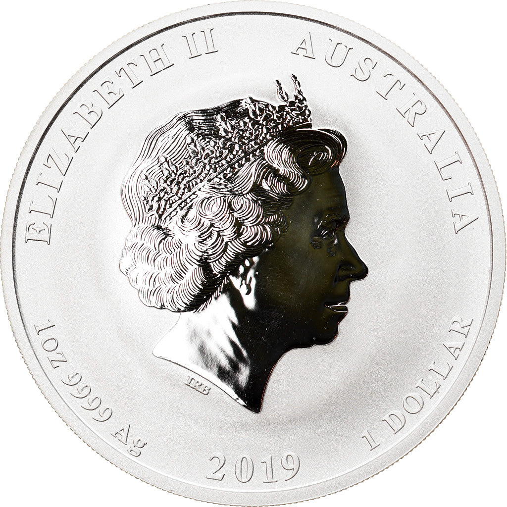 Coin, Australia, Year of the Pig, 1 Dollar, 2019, 1 Oz, MS(65-70), Silver