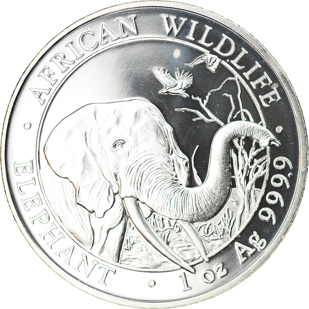 Coin, Somalia, Elephant, 100 Shillings, 2018, 1 Oz, MS(65-70), Silver
