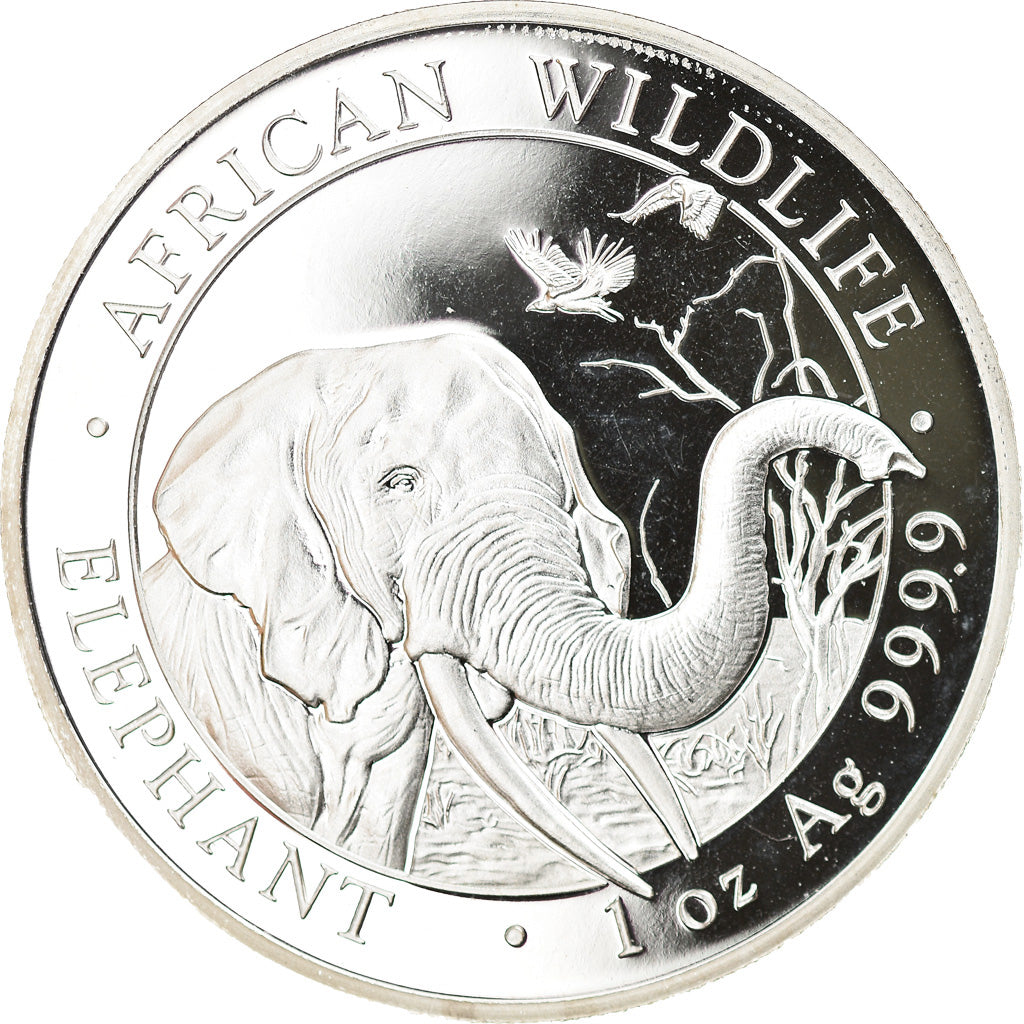 Coin, Somalia, Elephant, 100 Shillings, 2018, 1 Oz, MS(65-70), Silver