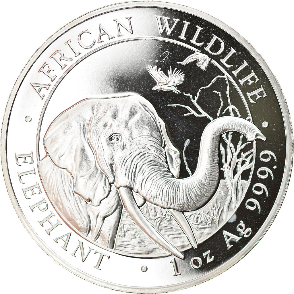 Moneta, Somalia, Elephant, 100 Shillings, 2018, 1 Oz, FDC, Argento