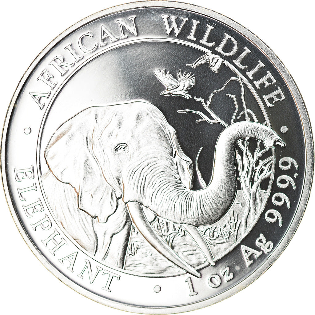 Coin, Somalia, Elephant, 100 Shillings, 2018, 1 Oz, MS(65-70), Silver