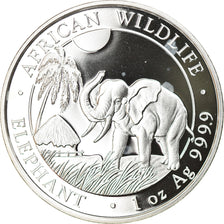Coin, Somalia, Elephant, 100 Shillings, 2017, 1 Oz, MS(65-70), Silver