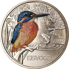 Austria, 3 Euro, The Kingfisher, 2017, Colourized, FDC, Rame-nichel