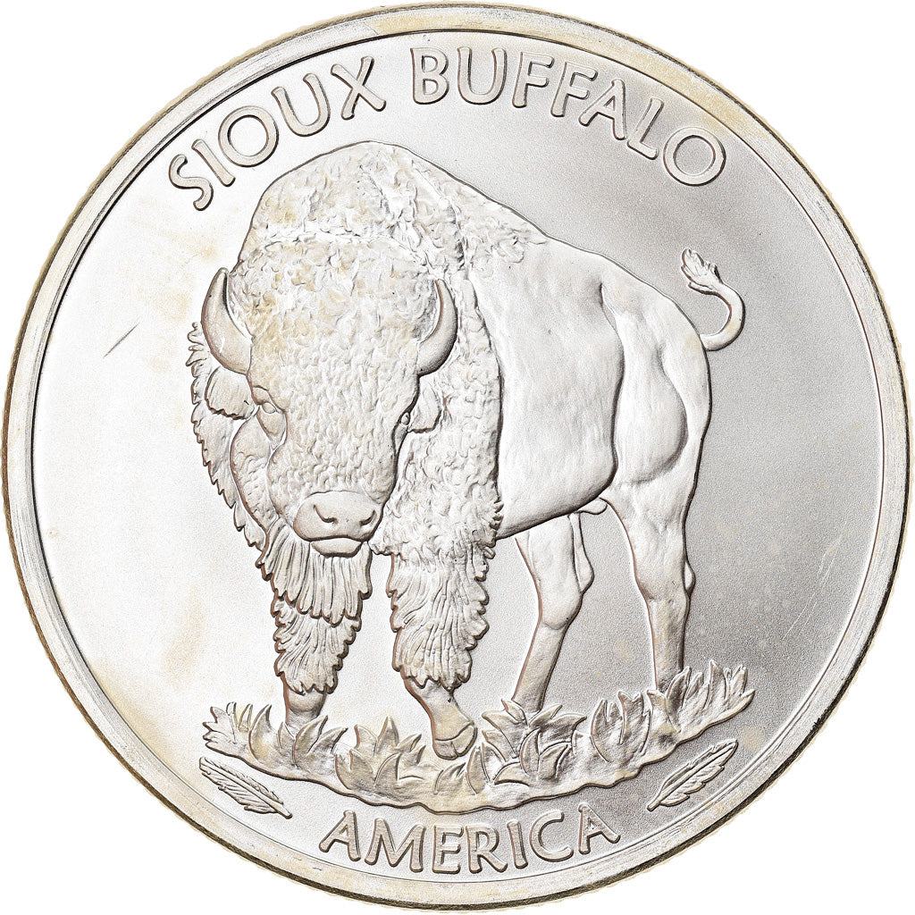 Monnaie, États-Unis, Sioux Buffalo, 1 Dollar, 1 Oz, 2015, Paranumismatique