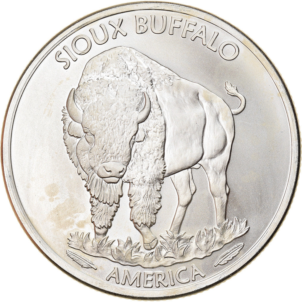 Münze, Vereinigte Staaten, Sioux Buffalo, 1 Dollar, 1 Oz, 2015, Exonumia, UNZ