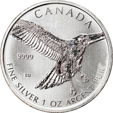 Moneda, Canadá, Red-tailed Hawk, 5 Dollars, 2015, 1 Oz, FDC, Plata