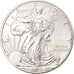 Moneta, Stati Uniti, Silver Eagle, Dollar, 2013, 1 Oz, SPL+, Argento